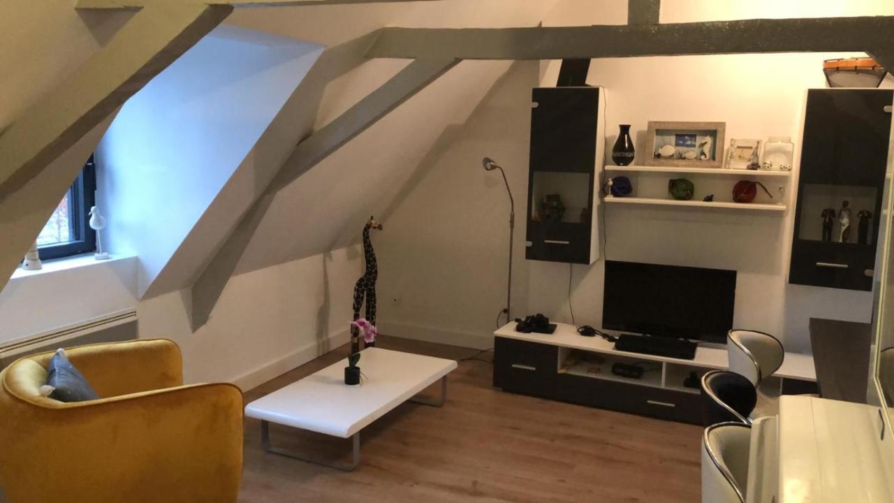 Logement Avec Deux Appartements Sur Deux Etages Wormhout Εξωτερικό φωτογραφία